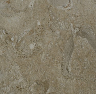 Ostracon Brushed Shellstone 