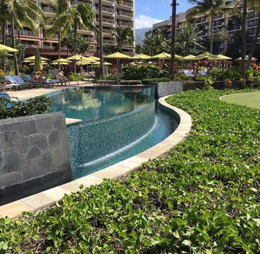 Quartzite paving for pool edges