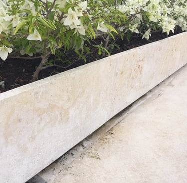 natural shellstone wall