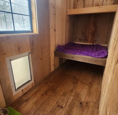 private sleeping dog boarding near Port Perry and Lindsay