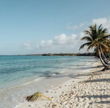 Tropical white sand beach with turquoise water and palm trees under a clear blue sky.