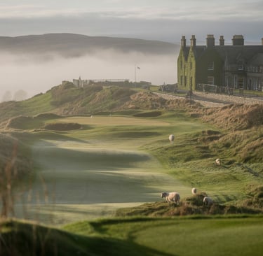 Misty morning at a luxury Scottish golf course with grazing sheep near an ivy-covered stone clubhouse.