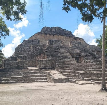 Ancient stone Chacchoben Mayan ruins pyramid surrounded by tropical trees in Mexico.