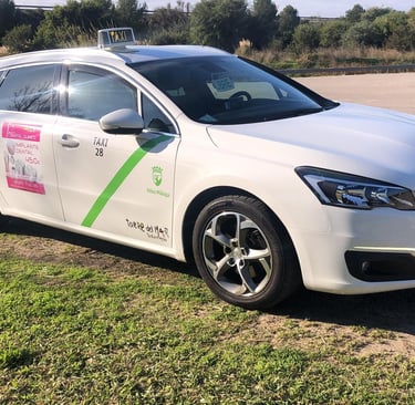 taxis 24 horas torre del mar