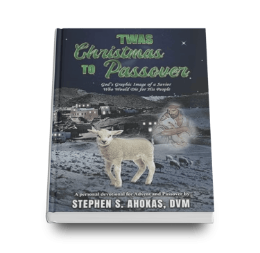 a book cover of this is a book about a sheep