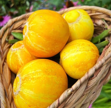 Crystal Lemon Cucumber
