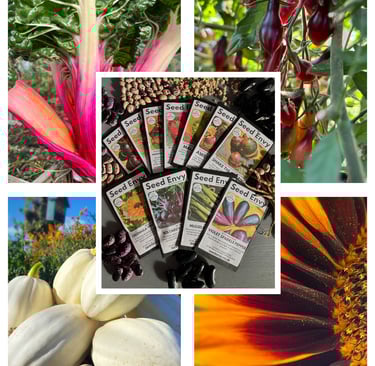 SEED GIFTS FROM SEED ENVY