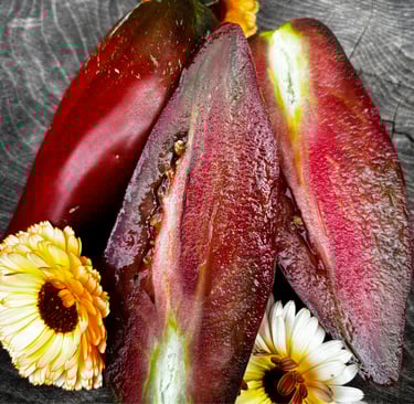 CUBAN PEPPER LIKE BLACK PASTE/SAUCE TOMATO VARIETY