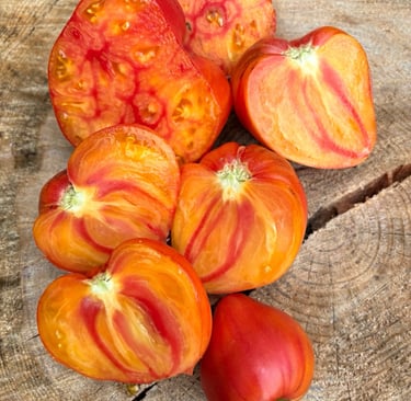 Pineapple Rosy SGT Tomato 