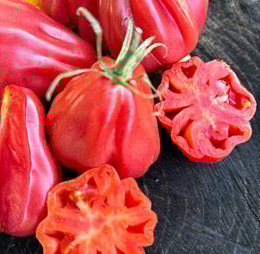 Tlacolula Pink tomato with ribbed, pear-shaped pink fruits, a Mexican heirloom known for sweet flavour.