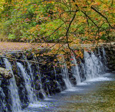 broad, and short waterfall at the dam of Ridley Creek State park, in the fall.