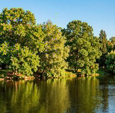photo of white staircase