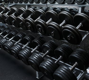 a row of dumbbells in a gym