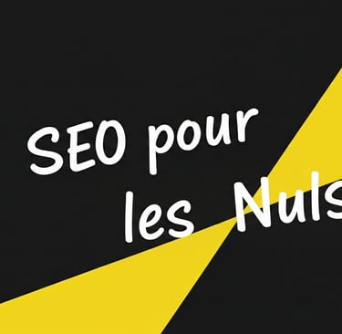 référencement naturel pour les nuls