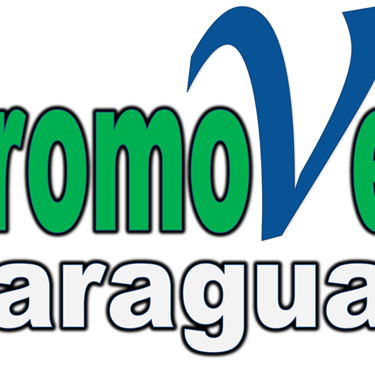 a logo for a company that sells paragon