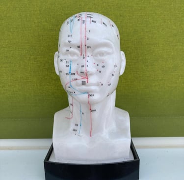 Meridians on the head and neck