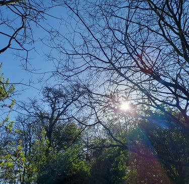 hot weather in april