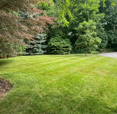 Professional lawn mowing results with neat and tidy finish