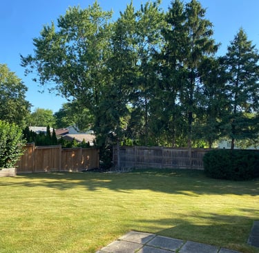 Neatly trimmed grass after professional lawn mowing