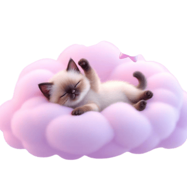 Metexa Orientals & Siamese kittens  - pure bliss