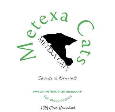 Metexa Siamese & Oriental Website banner