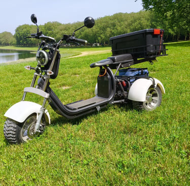 moteur scooter électrique 3 roues autonomie et puissance