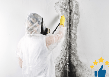 Mold Removal in Ottawa Home