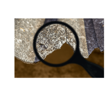 We provide asbestos abatement services in Ottawa