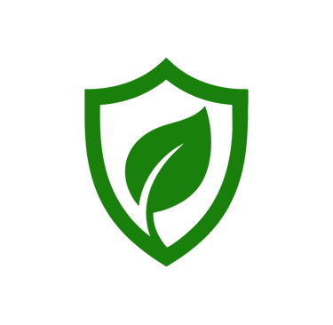 Safe, eco-friendly mold removal methods