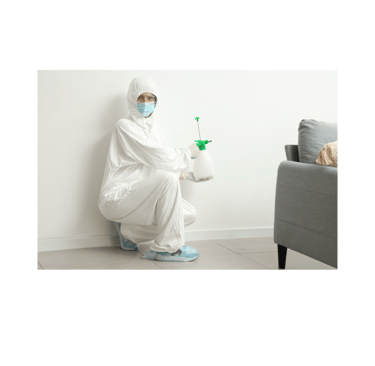 Mold Remediation Professional