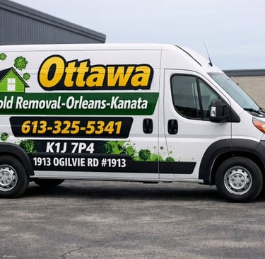 Ottawa Mold Removal-Orleans-Kanata