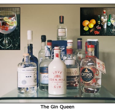 photo of gin, gin glass and botanicals