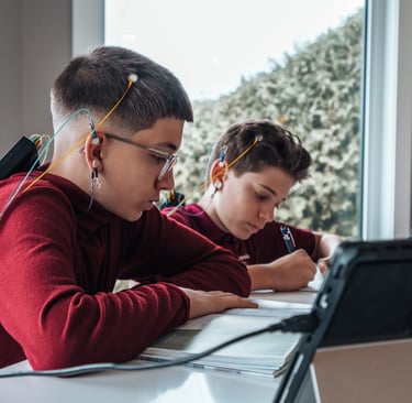 neuroptimal treniruoklis