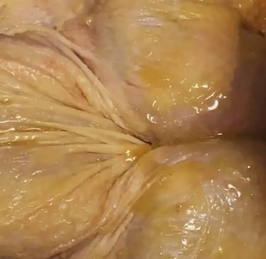 Whole raw spatchcocked chicken rubbed with butter before seasoning