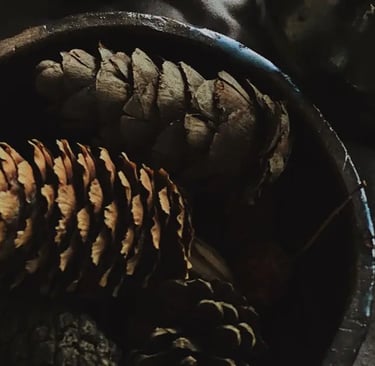 pine cones in bowl for a rustic fall simple decor