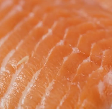 a orange fleshed salmon fillet on white background