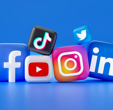 Business owners choose which social media platform to use for marketing their company