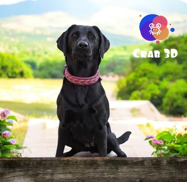 Perro usando collar elaborado a mano con paracord