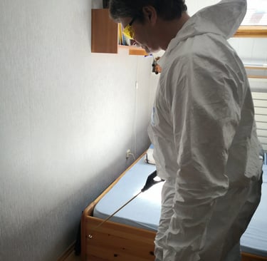 ágyi poloska irtás