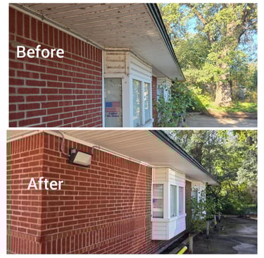Side widows and awning clean and free of dirt and webs.