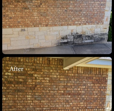 Black algae removed from brick wall and sidewalk.