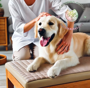 Massage canin