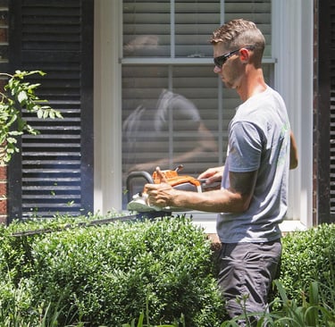 Professional shrub trimming and hedge pruning in Catawba County NC