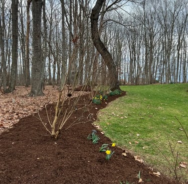 Mulch and Flowers