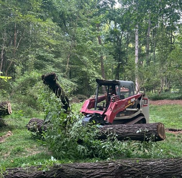 Land clearing services in Catawba County NC using skid steer equipment
