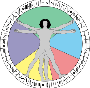 La Creación en Base Doce