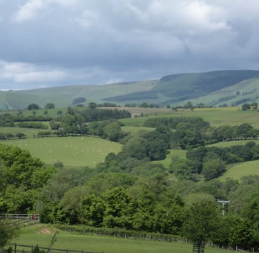 Field View from Twr-Ffoledd, Llanwrtyd Wells.
