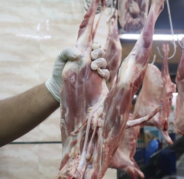 a person holding a knife and a knife in a kitchen