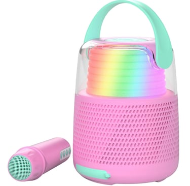 enceinte pour karaoke