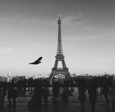 Black and white image of the Eiffel Tower from a distance